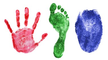 Printout of hand, foot and finger clipart