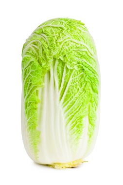 Chinese cabbage salad clipart