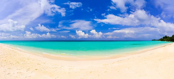 Tropik plajın manzarası — Stok fotoğraf