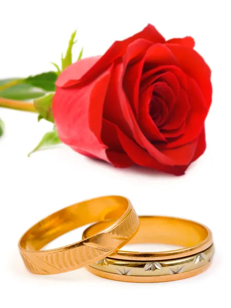 Jegygyűrűk és rózsa — Stock Fotó