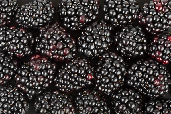 Blackberry background — Stock Photo, Image