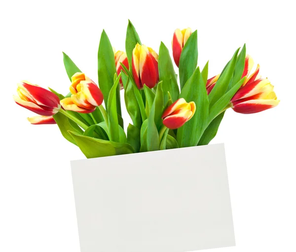 Cartão e flores — Fotografia de Stock