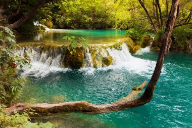 Plitvice Gölleri, Hırvatistan