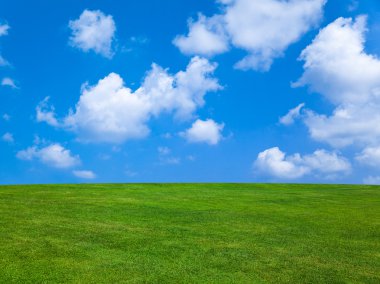 Grass and cloudy sky clipart