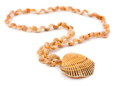 Necklace made of sea shell clipart