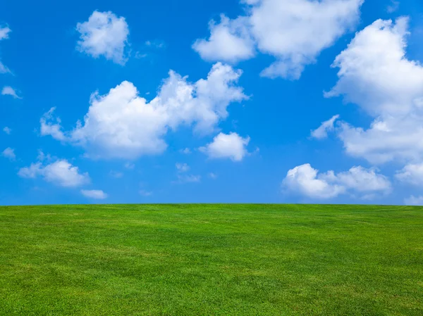 芝生と曇り空 — ストック写真