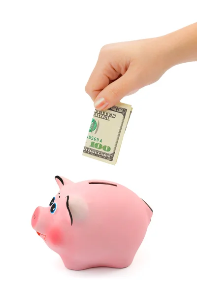 Hand met geld en piggy bank — Stockfoto