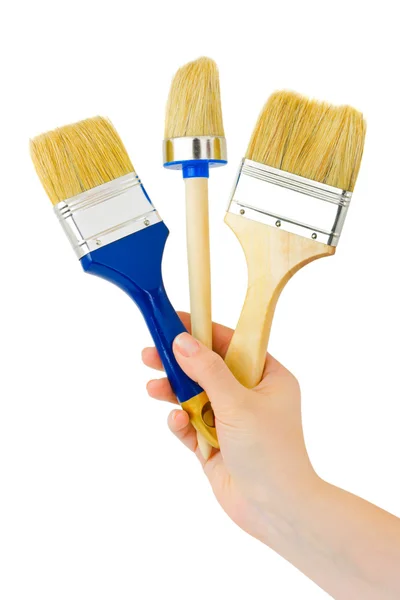 Hand with brushes — Stock Photo, Image