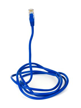 Computer cable like a snake - internet security concept clipart