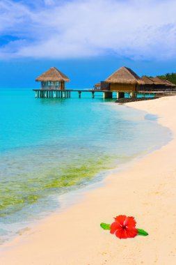 Water bungalows on a tropical island clipart