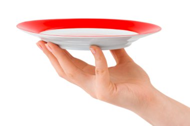 Hand with plate clipart