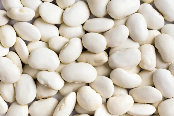 stock image White haricot beans