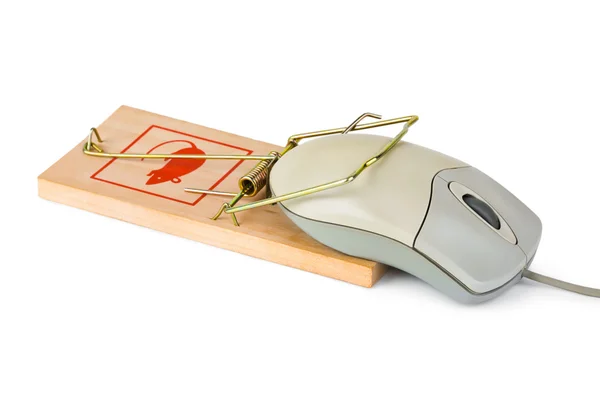 stock image Mousetrap and computer mouse