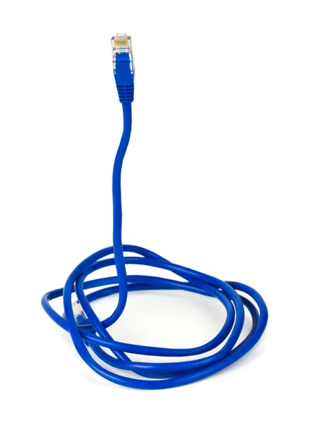 Computer kabel lijken op een slang - internet veiligheidsconcept — Stockfoto