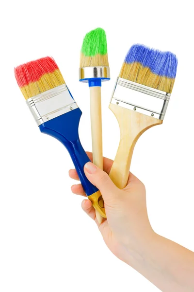 Hand with multicolored brushes — Stock Photo, Image