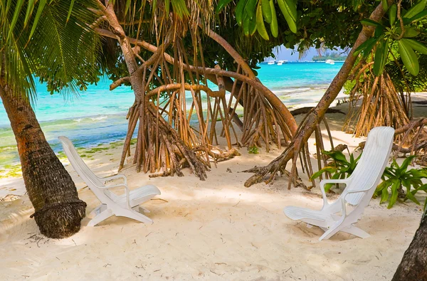 Liegestühle am tropischen Strand — Stockfoto