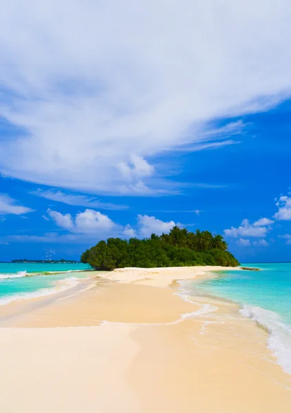 Isla tropical y banco de arena — Foto de Stock