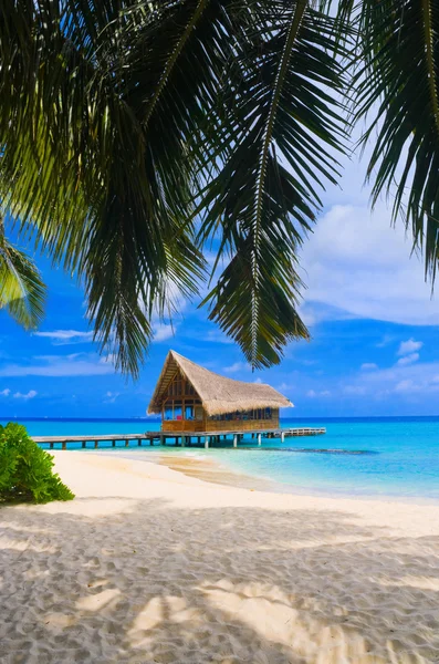 Duikclub op een tropisch eiland — Stockfoto