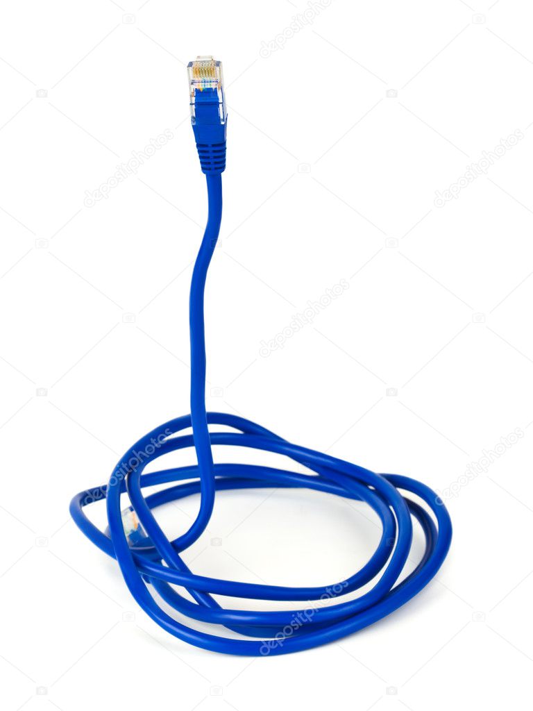 Computer cable like a snake - internet security concept