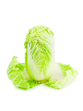 Chinese cabbage salad clipart