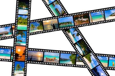 Frames of film - nature and travel (my photos) clipart