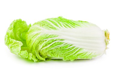 Chinese cabbage salad clipart