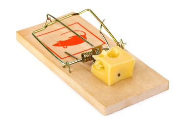 Mousetrap and cheese clipart