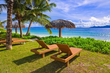 tropikal plaj sandalyeleri