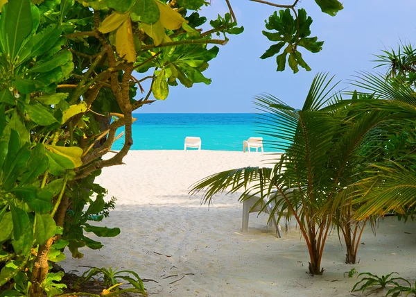 stock image Chairs on tropical beach