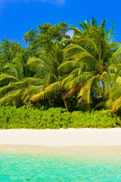 Zee, strand en jungle — Stockfoto