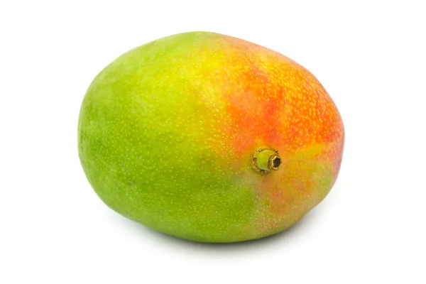 Ovoce mango — Stock fotografie