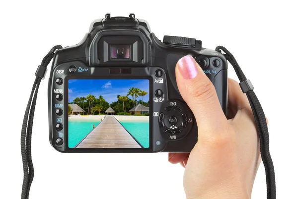 Kamera i hånd og strandlandskap – stockfoto