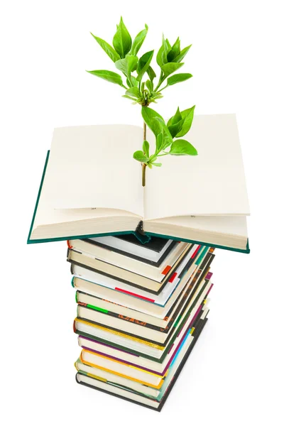 Livros e plantas — Fotografia de Stock