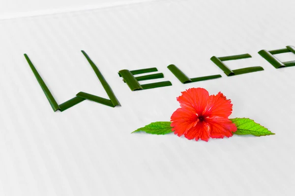 Üdvözöljük a Word és a virág-ágy, a hotel — Stock Fotó