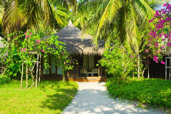 Bungalow in jungles — Stock Photo, Image