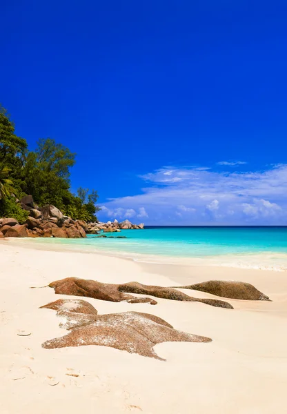 Trópusi tengerparton island, praslin, Seychelle-szigetek — Stock Fotó