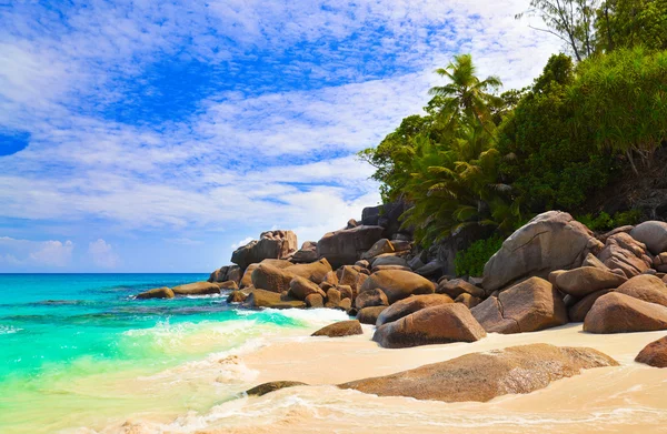 Trópusi tengerparton island, praslin, Seychelle-szigetek — Stock Fotó