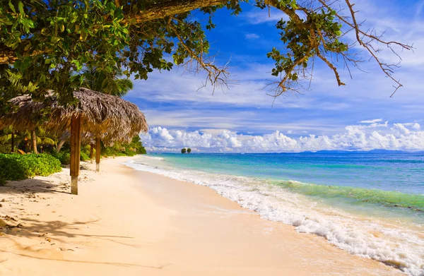 Tropisch strand op het eiland la digue, Seychellen — Stockfoto