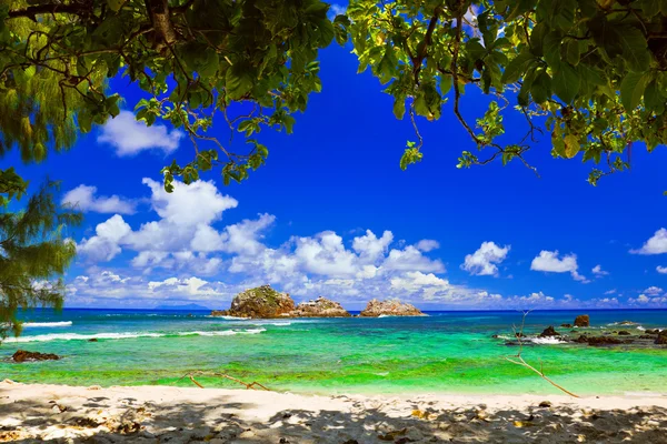 Tropisch strand op de Seychellen — Stockfoto