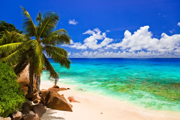 Praia tropical na ilha La Digue, Seychelles — Fotografia de Stock
