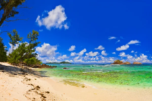 Seychelle-szigeteki trópusi tengerparton — Stock Fotó