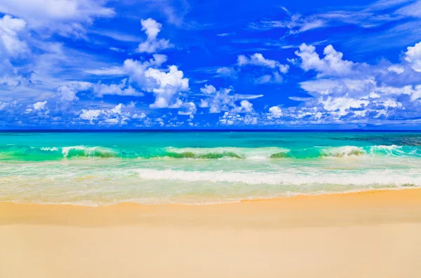 Vlny na tropické pláži — Stock fotografie