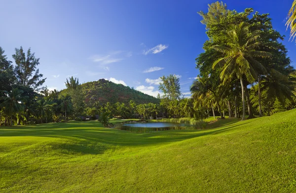 Golfkenttä saarella Praslin, Seychellit — kuvapankkivalokuva