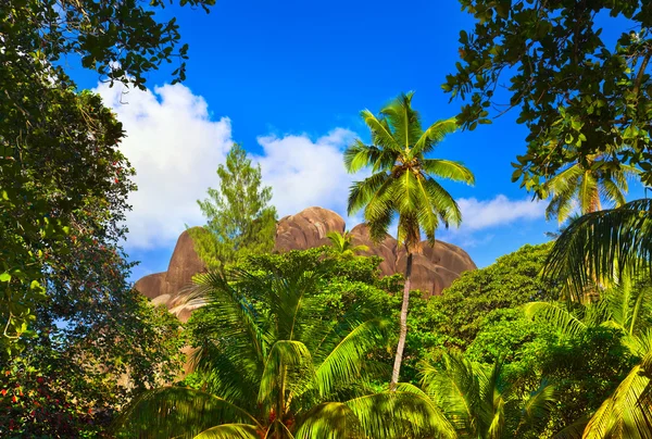 Paisaje tropical — Foto de Stock
