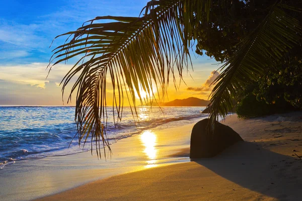 Trópusi strand naplementekor — Stock Fotó