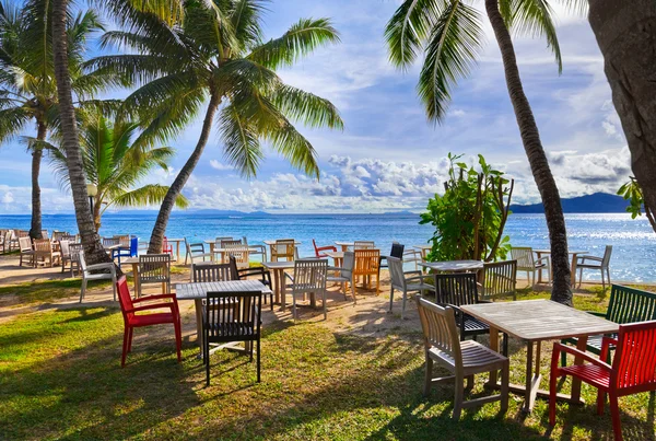 kafe ve palms bir tropikal plaj