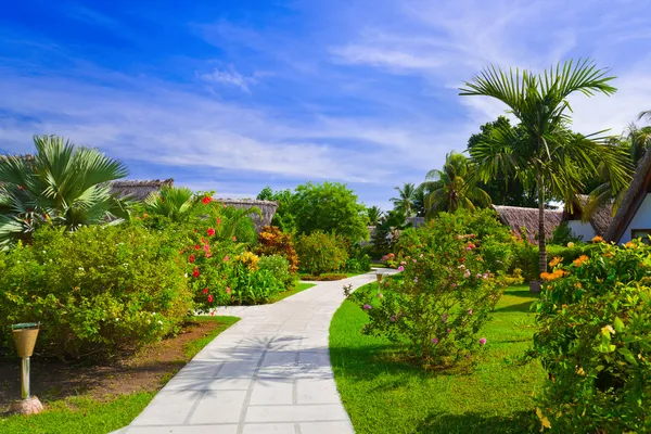 Pathway and bungalows in tropical park — Stok fotoğraf