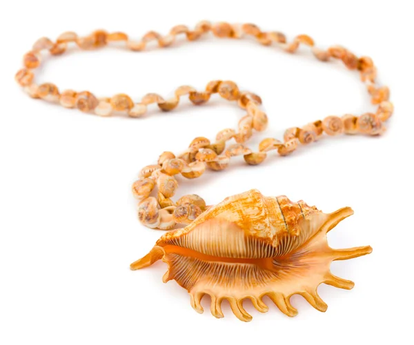Colar feito de concha do mar — Fotografia de Stock