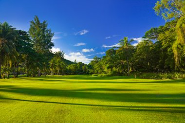 Golf field at Seychelles clipart