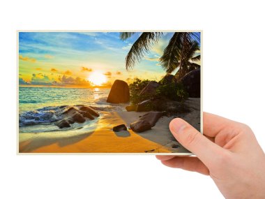 Beach photography in hand clipart